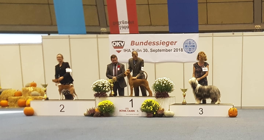 BIS 3 Tulln